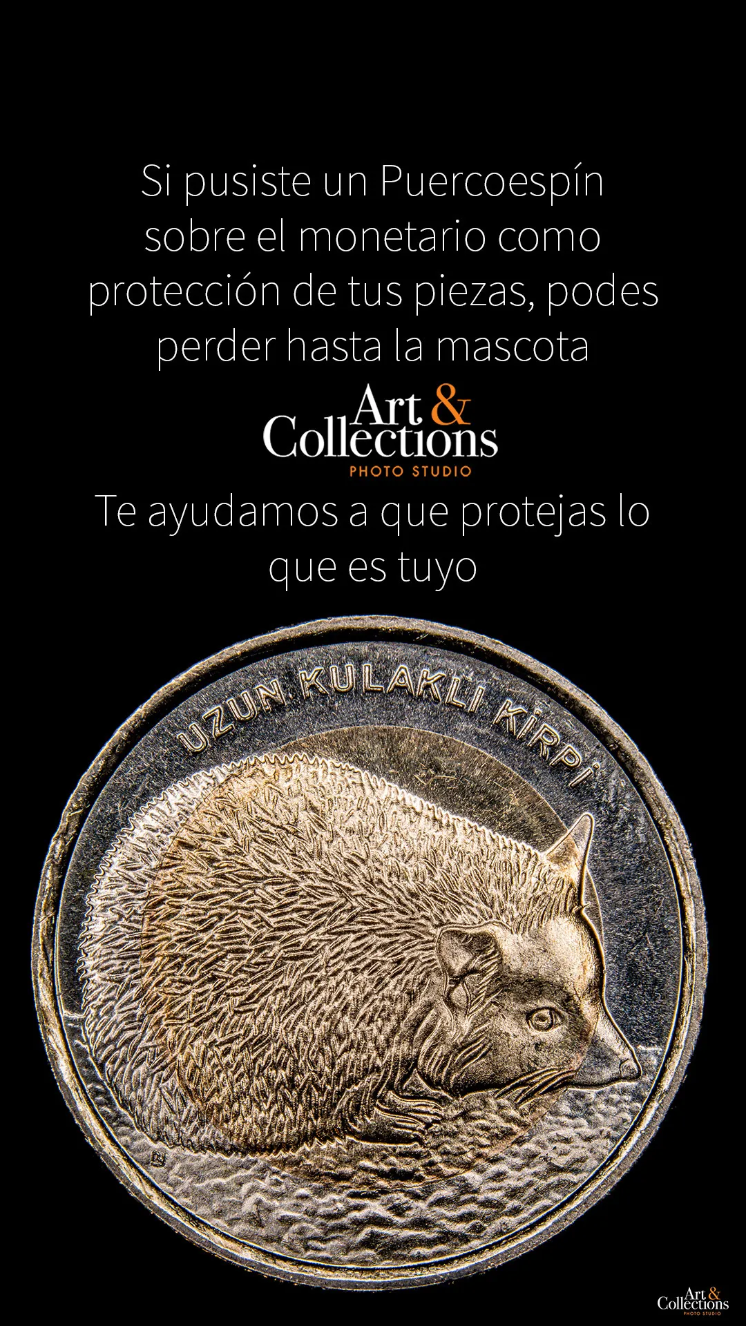 87CE5E32-8BEB-4956-9CD7-999D781A111F