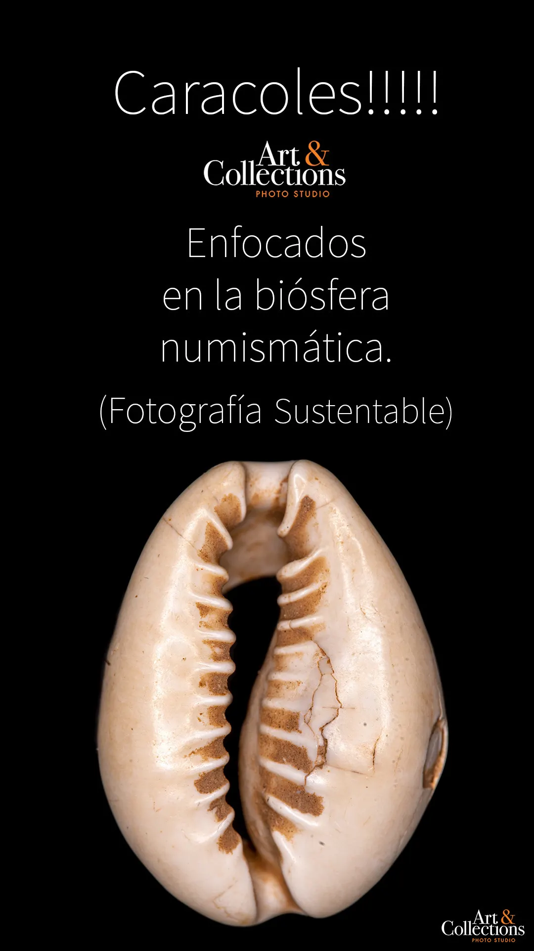 99A7D8C9-73E5-4786-8EF3-D9FC2FB92574